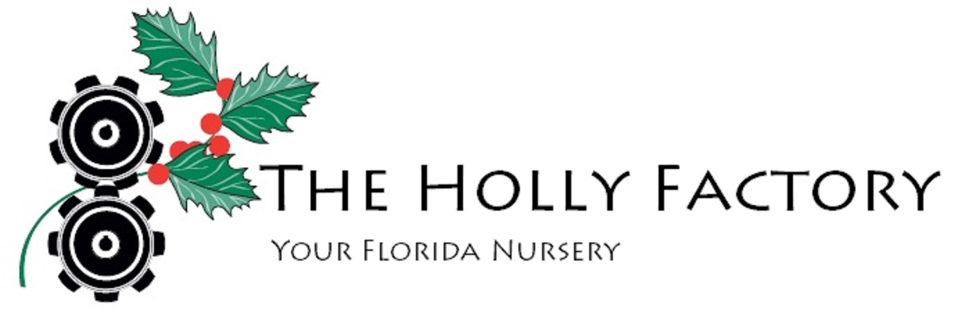 Holly Factory Wholesale Nursery - 